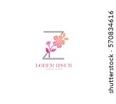Sign the letter Z Branding Identity Corporate vector logo design template