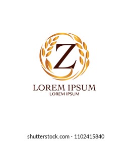 Sign the letter Z Branding Identity Corporate vector logo design template