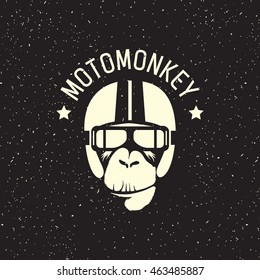 sign monkey wearing a helmet as a pilot or rider