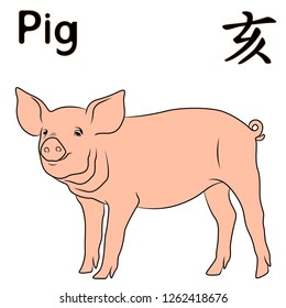 Sign Pig of Chinese Zodiac, symbol of New Year on the Eastern calendar, hand drawn vector isolated on the white background