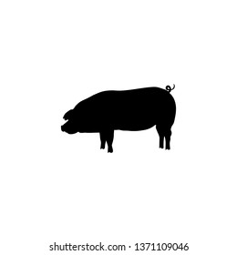 Sign pig. Isolated black silhouette pig on white background. Vector illustration