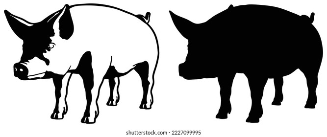 Sign pig silhouette. Isolated black silhouette pig on white background. Vector illustration