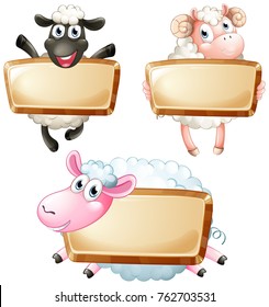 Sign template with cute sheeps illustration