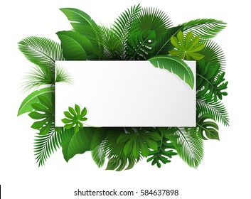 Sign with text space of Tropical Leaves. Suitable for nature concept, vacation, and summer holiday. Vector Illustration