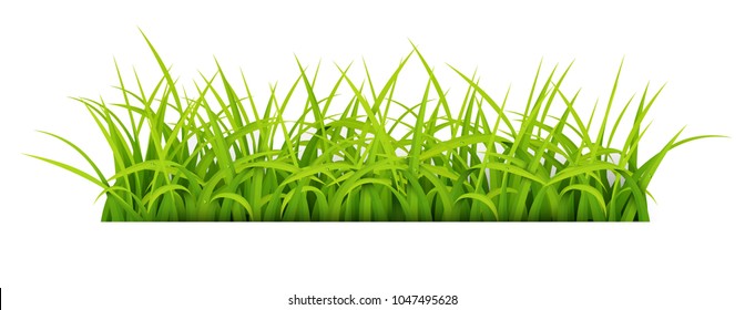 Sign with text space of Young Grass. Suitable for nature concept, spring, and summer holiday. Vector Illustration