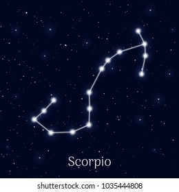 Sign zodiac scorpio, night sky background, realistic. Astrological symbol of materialism, mysticism and humanism. Vector illustration of ancient sacral image