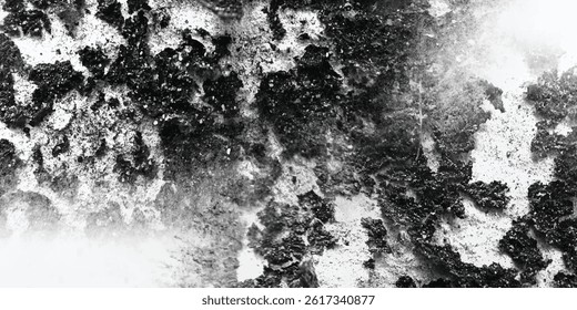 Time’s Signature Etched Into the Rough Surface of Rock


