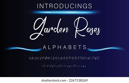 Signature Font Calligraphy Logotype Script Brush Font Type Font lettering handwritten