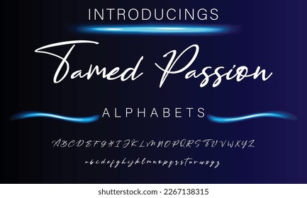 Signature Font Calligraphy Logotype Script Brush Font Type Font lettering handwritten