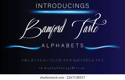 Signature Font Calligraphy Logotype Script Brush Font Type Font lettering handwritten