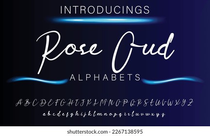 Signature Font Calligraphy Logotype Script Brush Font Type Font lettering handwritten