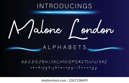 Signature Font Calligraphy Logotype Script Brush Font Type Font lettering handwritten