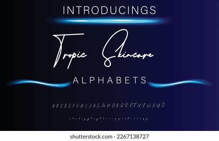 Signature Font Calligraphy Logotype Script Brush Font Type Font lettering handwritten