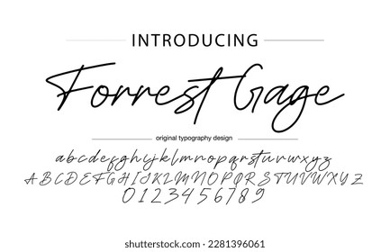 signature Font Calligraphy Logotype Script Brush Font Type Font lettering handwritten