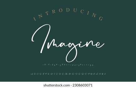 Signature Font Calligraphy Logotype Script Brush Font Type Font lettering handwritten