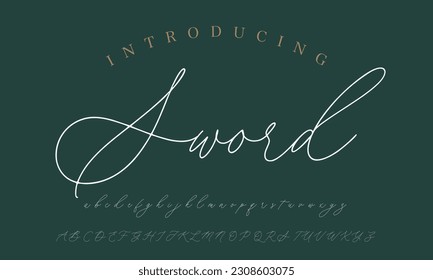 Signature Font Calligraphy Logotype Script Brush Font Type Font lettering handwritten