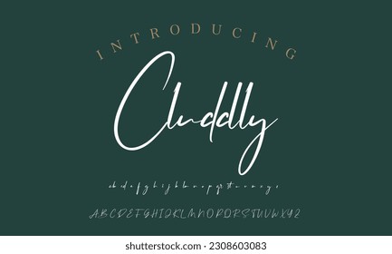 Signature Font Calligraphy Logotype Script Brush Font Type Font lettering handwritten