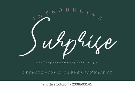 Signature Font Calligraphy Logotype Script Brush Font Type Font lettering handwritten