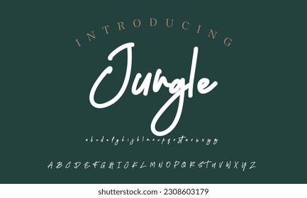 Signature Font Calligraphy Logotype Script Brush Font Type Font lettering handwritten