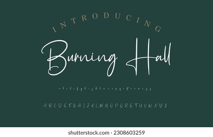 Signature Font Calligraphy Logotype Script Brush Font Type Font lettering handwritten