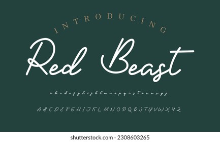 Signature Font Calligraphy Logotype Script Brush Font Type Font lettering handwritten