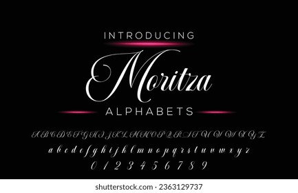 Signature Font Calligraphy Logotype Script Font Type Font lettering handwritten