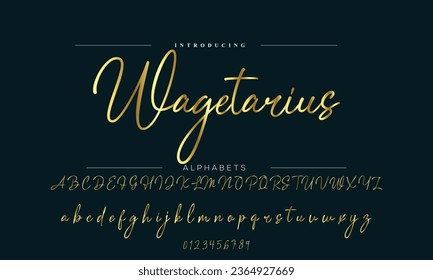 Signature Font Calligraphy Logotype Script Brush Font Type Font lettering handwritten