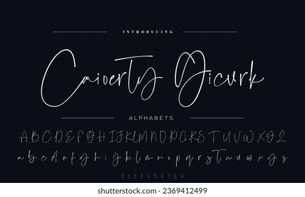 Signature Font Calligraphy Logotype Script Brush Font Type Font lettering handwritten