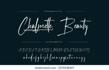 signature Font Calligraphy Logotype Script Brush Font Type Font lettering handwritten