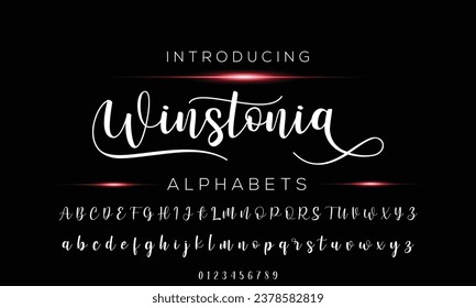 Signature Font Calligraphy Logotype Script Brush Font Type Font lettering handwritten