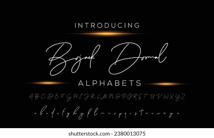 signature Font Calligraphy Logotype Script Brush Font Type Font lettering handwritten