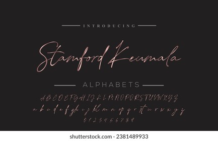Signature Font Calligraphy Logotype Script Brush Font Type Font lettering handwritten
