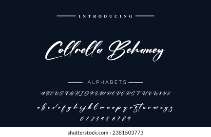signature Font Calligraphy Logotype Script Brush Font Type Font lettering handwritten