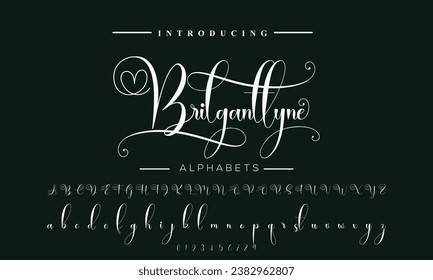 Signature Font Calligraphy Logotype Script Brush Font Type Font lettering handwritten