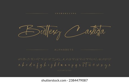 Signature Font Calligraphy Logotype Script Brush Font Type Font lettering handwritten