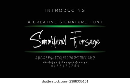 Signature Font Calligraphy Logotype Script Brush Font Type Font lettering handwritten