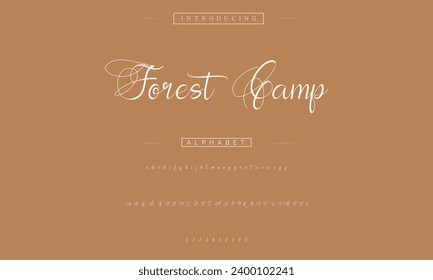 signature Font Calligraphy Logotype Script Brush Font Type Font lettering handwritten