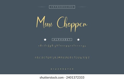 signature Font Calligraphy Logotype Script Brush Font Type Font lettering handwritten