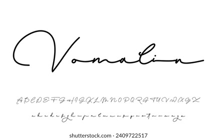signature Font Calligraphy Logotype Script Brush Font Type Font lettering handwritten