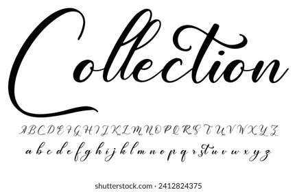 Signature Font Calligraphy Logotype Script Brush Font Type Font lettering handwritten