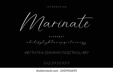 signature Font Calligraphy Logotype Script Brush Font Type Font lettering handwritten