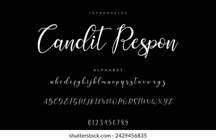 signature Font Calligraphy Logotype Script Brush Font Type Font lettering handwritten