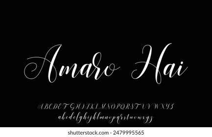 Signature Font Calligraphy Logotype Script Brush Font Type Font lettering handwritten