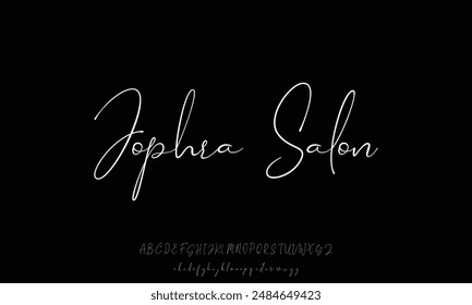 Signature Font Calligraphy Logotype Script Brush Font Type Font lettering handwritten