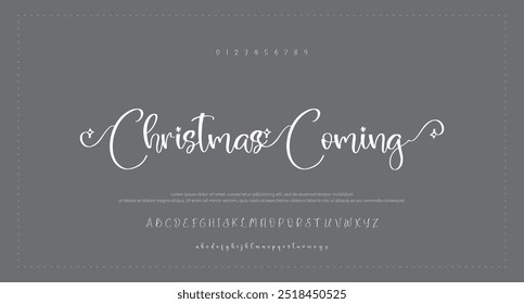 signature Font Calligraphy Logotype Script Brush Font Type Font lettering handwritten