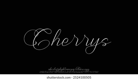 signature Font Calligraphy Logotype Script Brush Font Type Font lettering handwritten