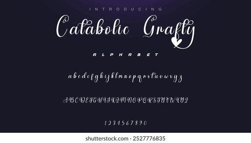 signature Font Calligraphy Logotype Script Brush Font Type Font lettering handwritten