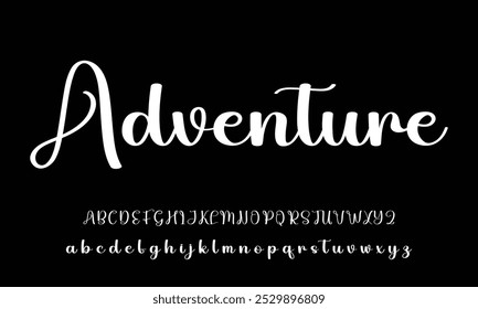  Signature Font Calligraphy Logotype Script Brush Font Type Font lettering handwritten