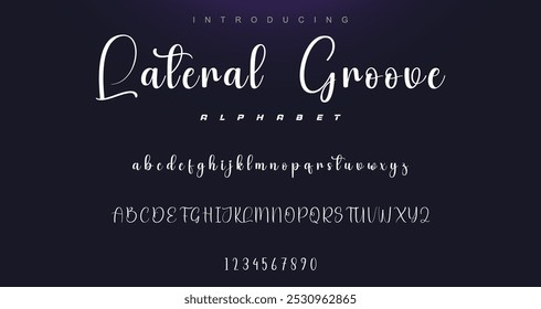 signature Font Calligraphy Logotype Script Brush Font Type Font lettering handwritten