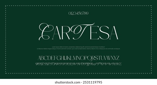 Signature Font Calligraphy Logotype Script Font Type Font lettering handwritten